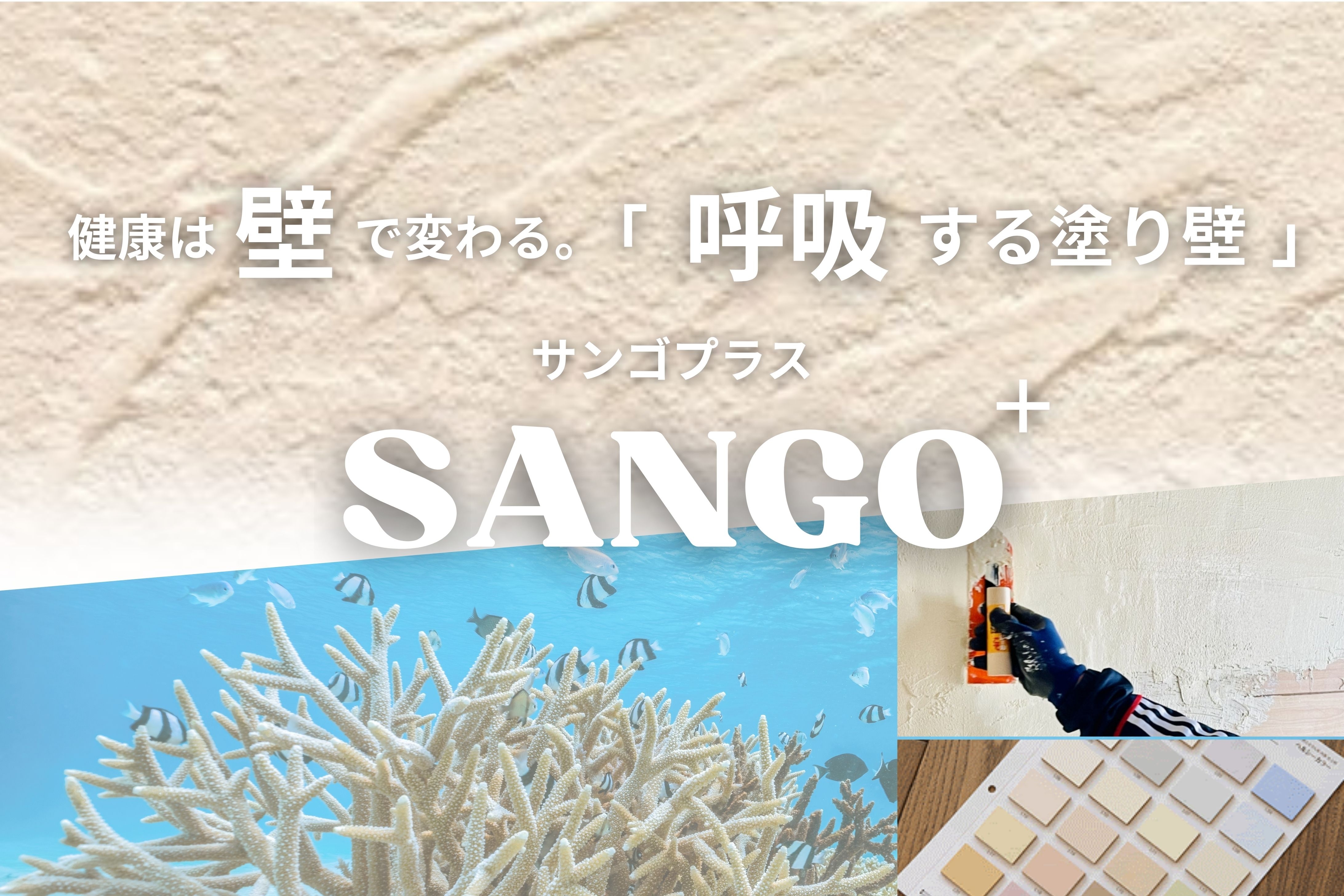 サンゴプラス.jpg